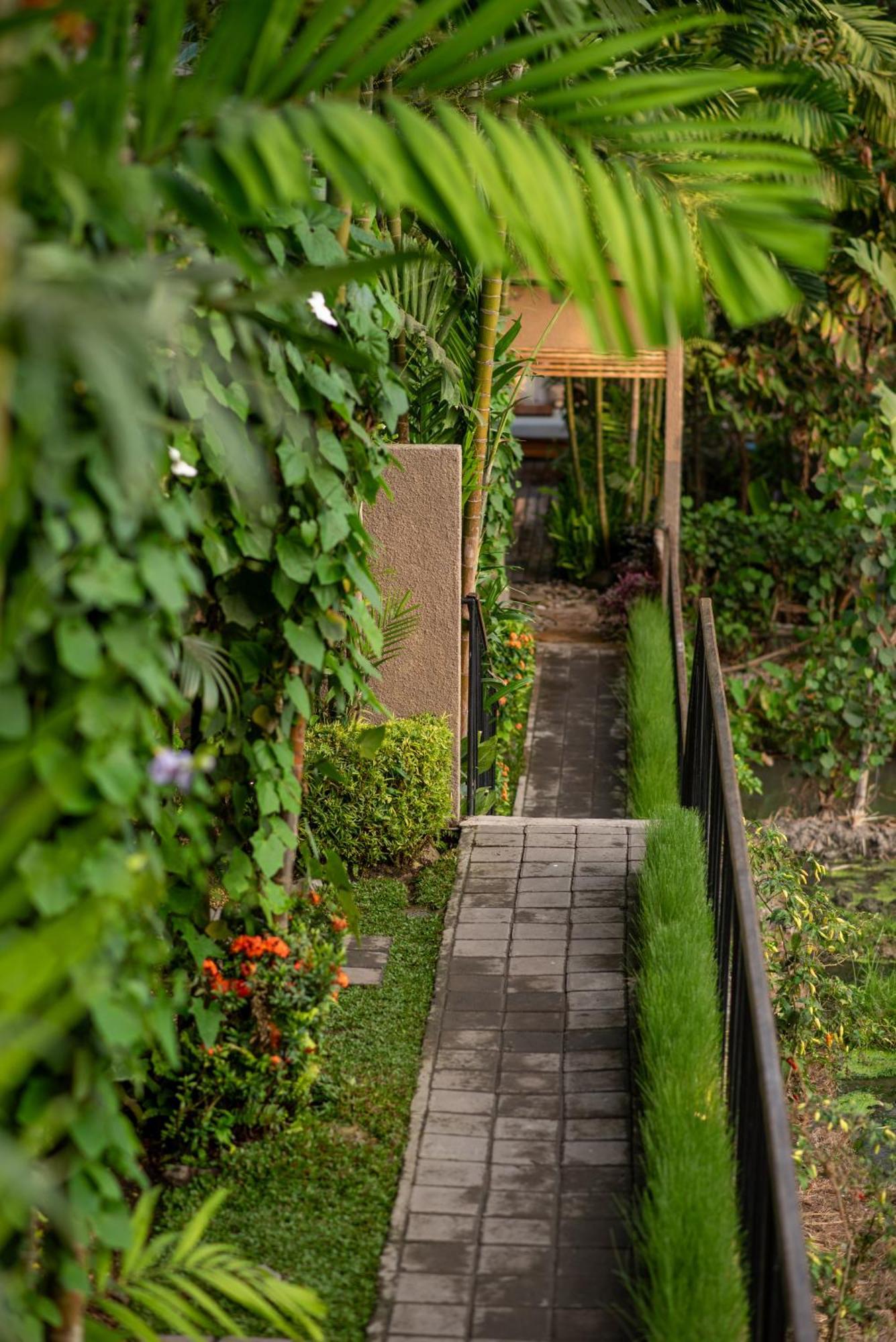 Pangkung Sari Bed&Breakfast Canggu  Bagian luar foto