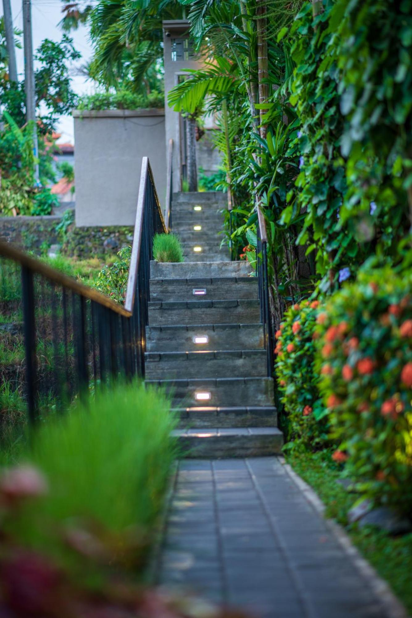 Pangkung Sari Bed&Breakfast Canggu  Bagian luar foto