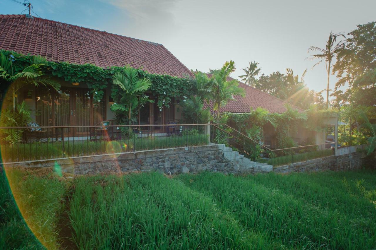 Pangkung Sari Bed&Breakfast Canggu  Bagian luar foto