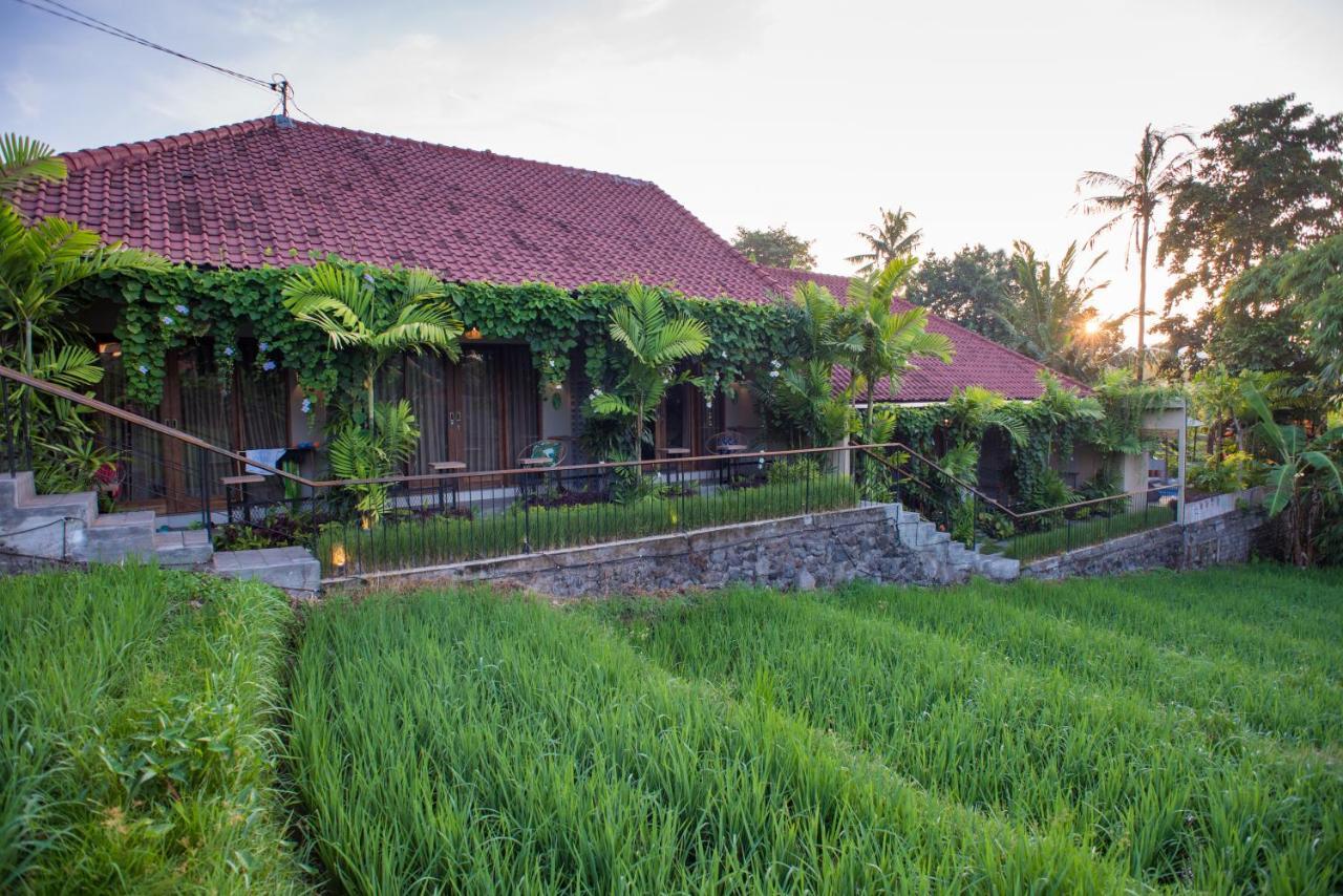 Pangkung Sari Bed&Breakfast Canggu  Bagian luar foto